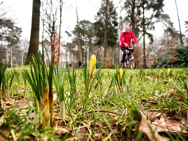 20130219-voorjaar 2013-DvA-2010
