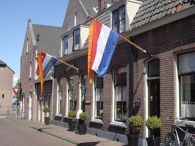 20130225nederlandse vlaggen