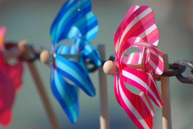Foto: Aline Tavernier - Creative Commons