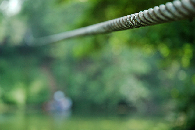 Foto: Arthurvd - Creative Commons