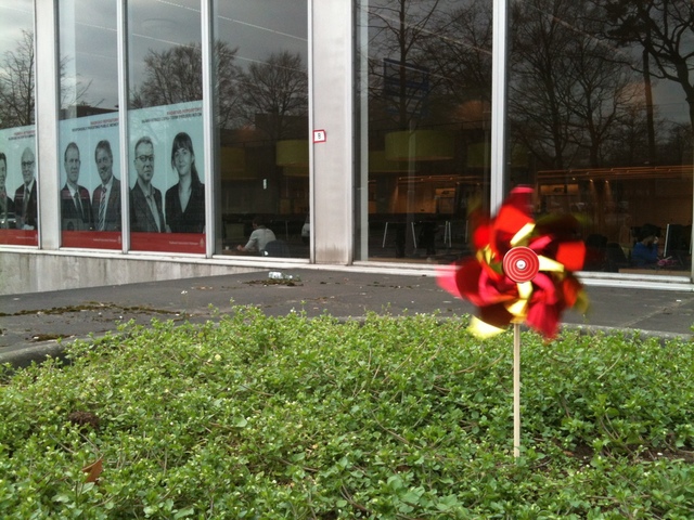 Foto: Annemarie Haverkamp