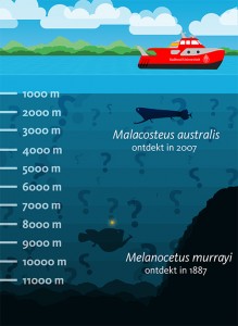 De diepzeebiologie doet onderzoek beneden de 1000 meter. Infographic: Marjolijn van Diejen