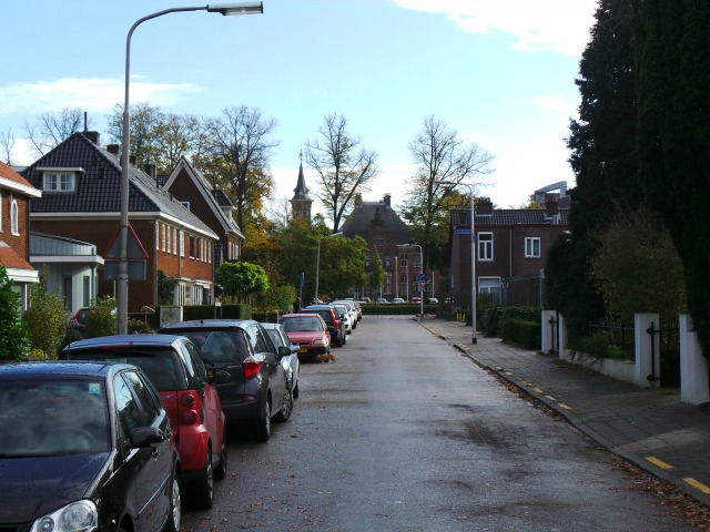 Zicht op Huize Heyendaal vanaf de Kastanjelaan. Foto: Mathijs Noij