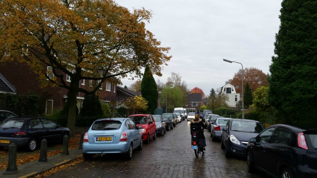 De Akkerlaan. Foto: Mathijs Noij