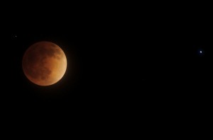 Foto: Linda Tanner, Creative Commons