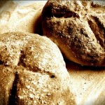 Brood