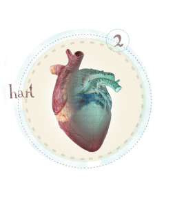 hart