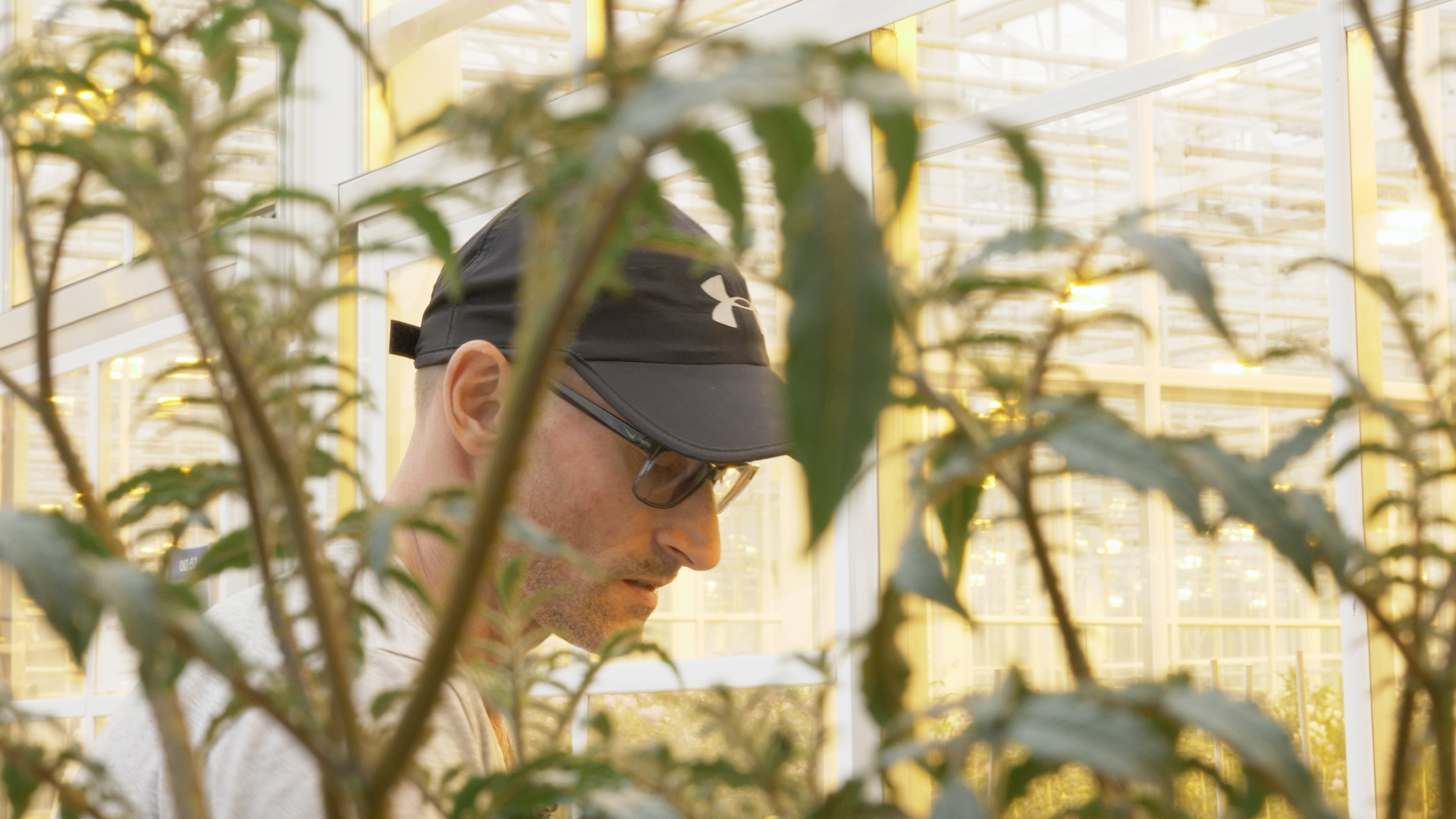 Sleutelfiguren (13): Ronald Smits houdt de planten in leven - Vox magazine