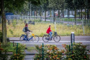 Foto: Tom Hessels
