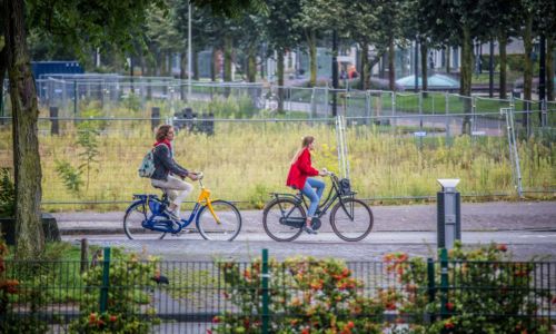 Foto: Tom Hessels