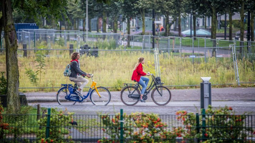 Foto: Tom Hessels