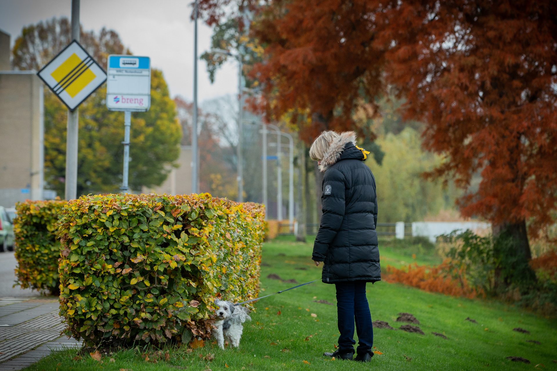 In Bottendaal struikel je over de Swapfietsen, in Dukenburg is (nog) geen student te vinden