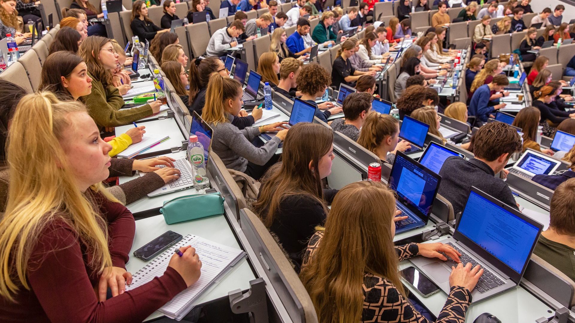 New offensive against English-language teaching - Vox magazine