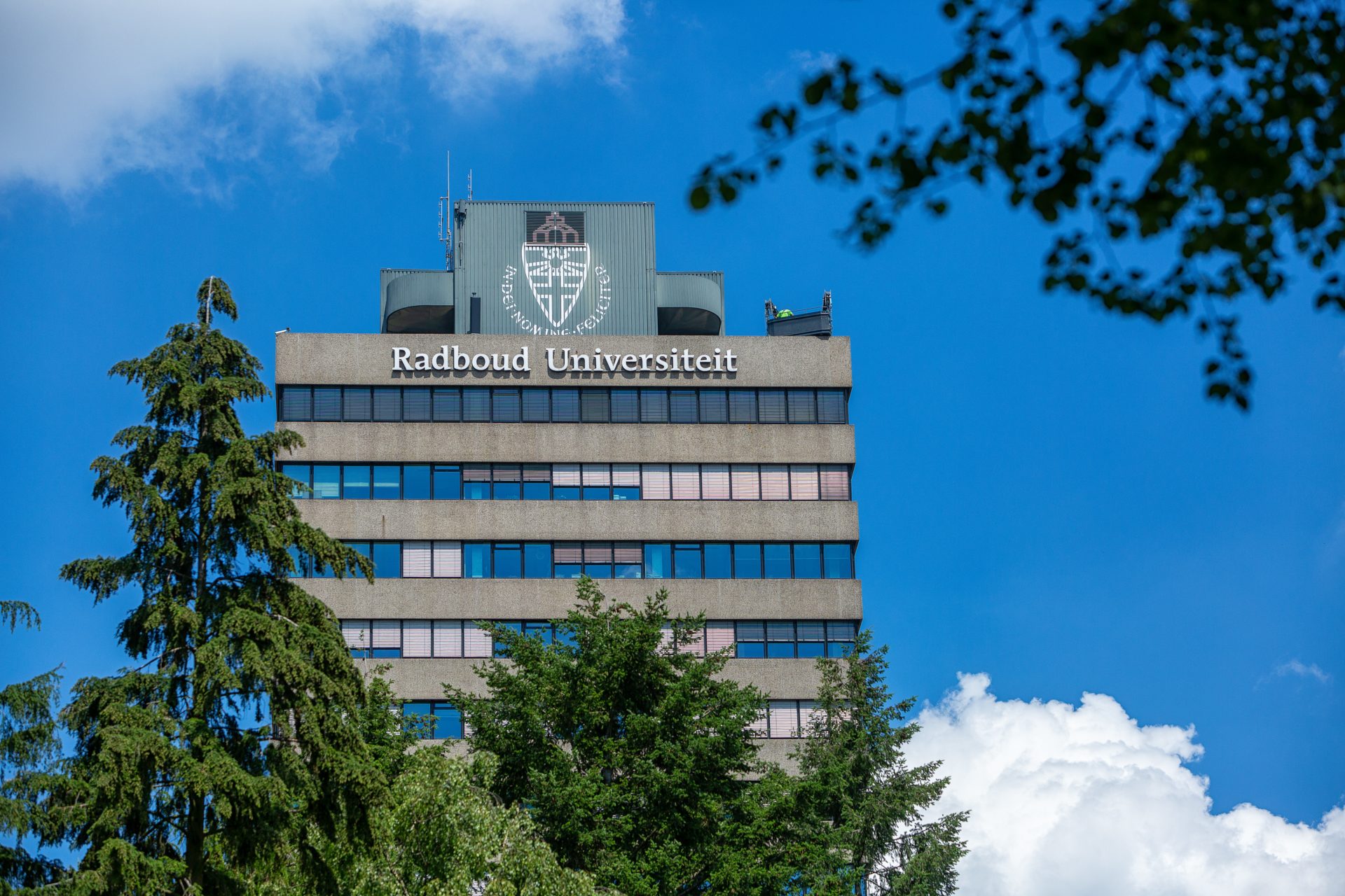 Railey diesel onlyfans videos oh my, her assets are