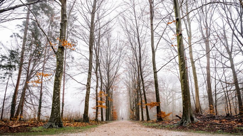 stock brakkenstein winter mist Johannes Fiebig