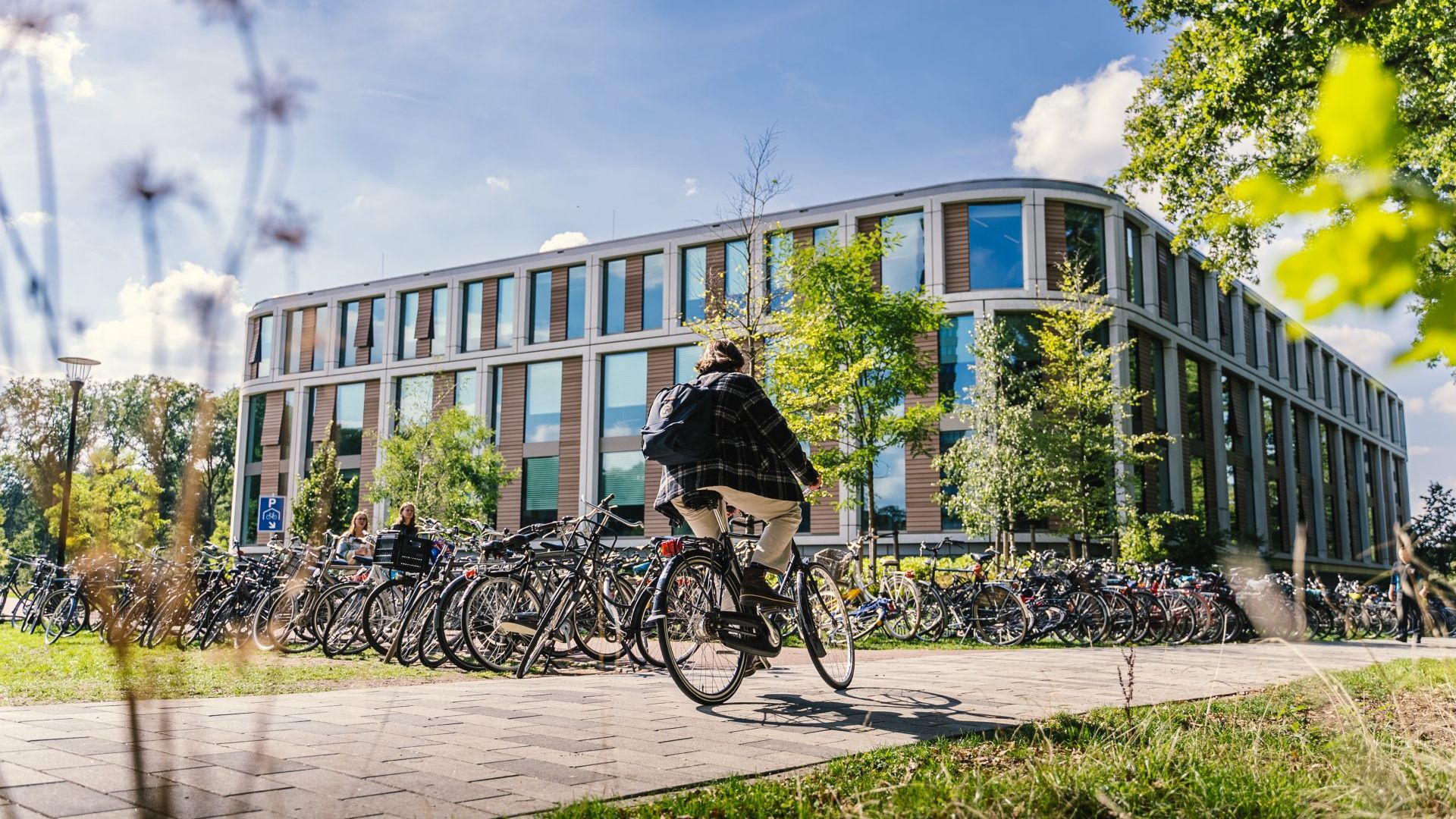 Geen nieuw onderzoek naar grensoverschrijdend gedrag hoogleraar