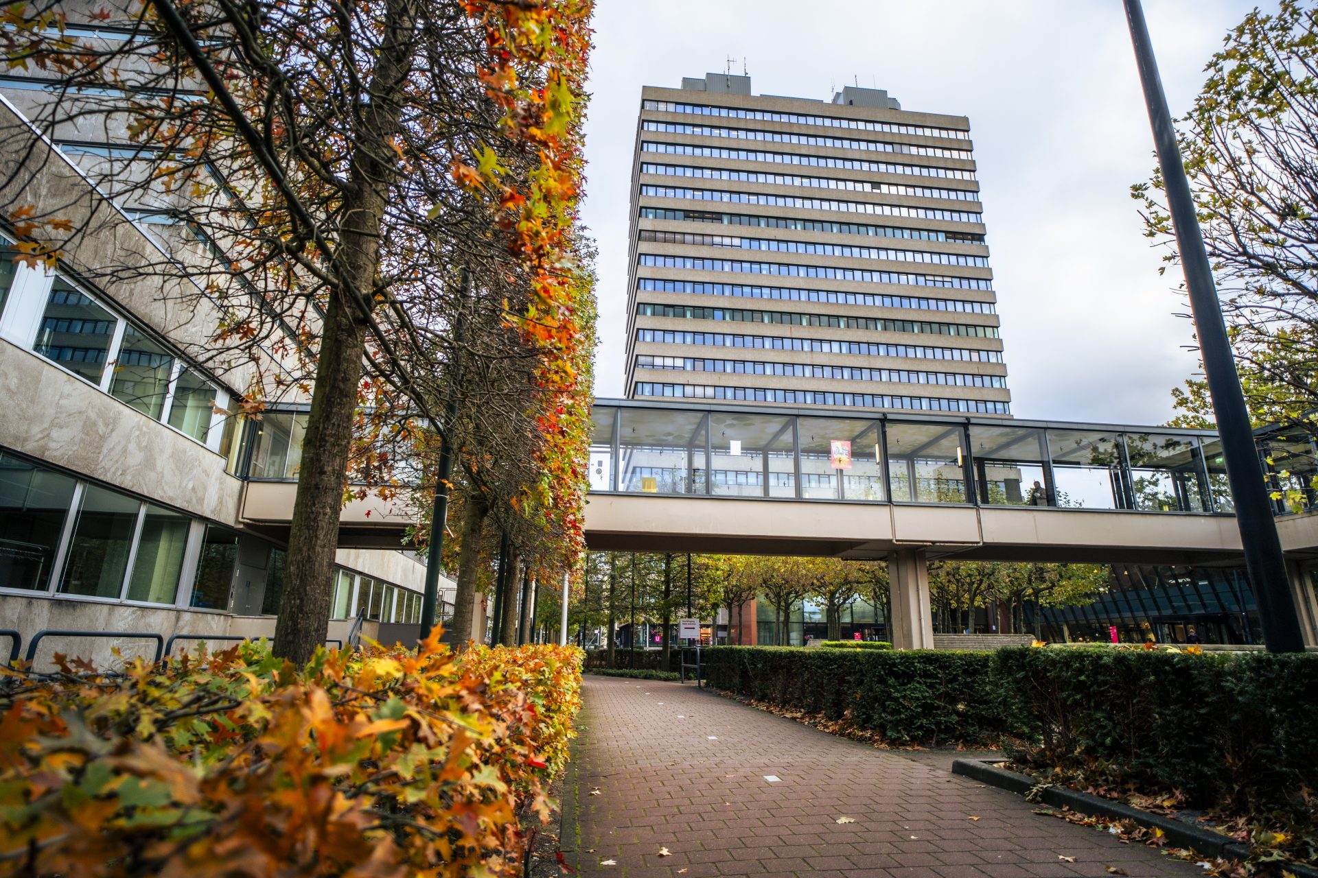 Radboud Universiteit haalt drie excellente studenten uit Gaza naar Nijmegen