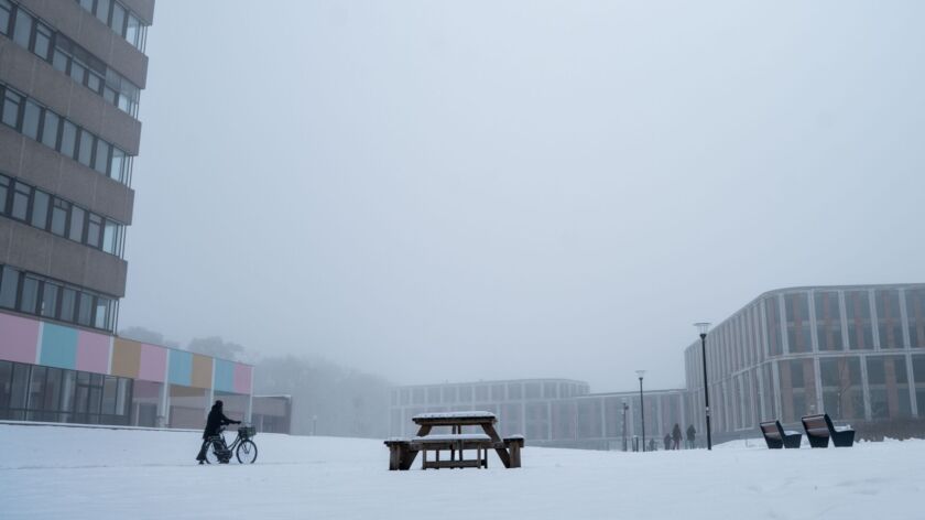 Foto: Diede van der Vleuten