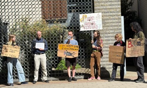 De demonstratie vandaag voor het dierenlab. Foto: Vox
