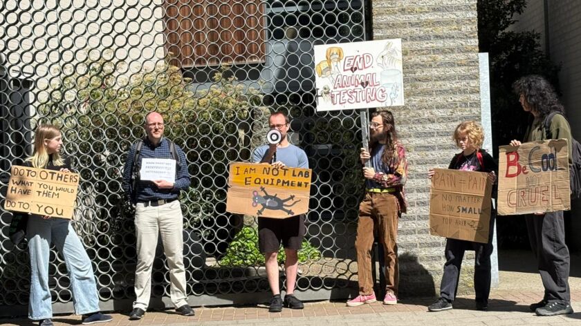 De demonstratie vandaag voor het dierenlab. Foto: Vox