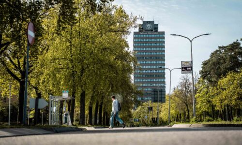Afbeelding ter illustratie. Foto: Johannes Fiebig