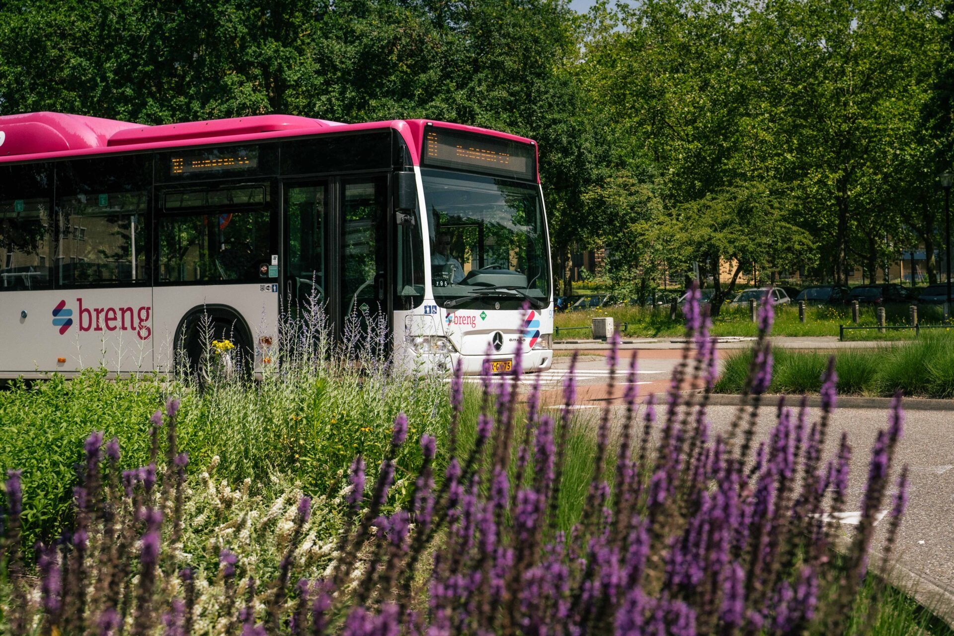 Lijn 10 heet niet langer lijn 10: dit verandert er in de nieuwe dienstregeling voor bussen