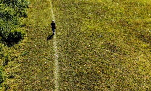 Hans de Kroon