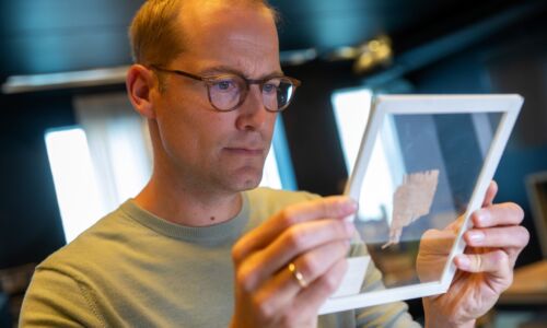 Radboudwetenschapper Mark de Kreij aan het werk met papyrus